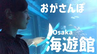 おがさんぽ 大阪 海遊館