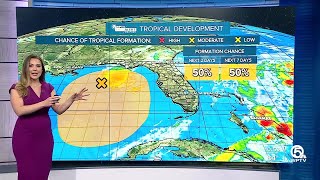 System in Gulf has 50% chance of tropical development