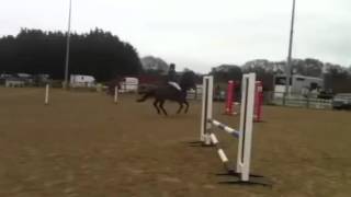 Rushmoor Highway - Crofton Manor  show jumping