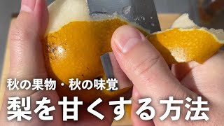 梨を甘くする方法・レシピ｜秋の果物・秋の味覚