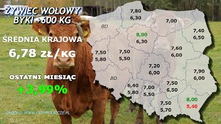 #96 agro wiadomości nonstop - 2020.08.17