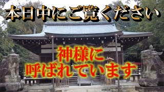 ※本日中にご覧ください【パワースポット旅　伊射奈岐神社/奈良県天理市】神様に呼ばれた人にだけ表示されます