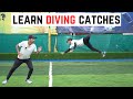 Dive fielding Catch Drills & techniques @cricketmastery