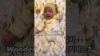 D+59 원더윅스👯‍♀️ 시기가 찾아온 아기🥶 #육아 #성장기록 #baby #cute 20240411