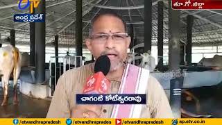 Gaushala Bhavan inaugurated at Thimmapuram | Brahmasri Chaganti Koteswara Rao Attend