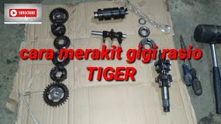 Cara merakit gigi rasio atau tramisi motor Tiger