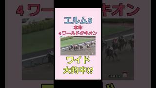 【競馬】エルムSでまさかの大的中!? #競馬 #競馬女子 #馬券勝負 #shorts