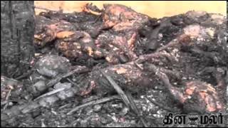 More Than 2000 Chicken Dead due to Fire at Villupuram - Dinamalar Nov 12th 2013 Tamil Video News