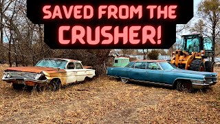 Saving Bunches of Old Cars \u0026 Trucks from the CRUSHER (Plus I got a new tool: Gooloo GTX 300)