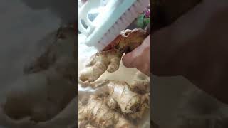 அட இது 👌🏻சூப்பரான ideaவா இருக்கே|How to preserve ginger|#shorts #chefviaan