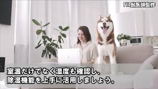 犬猫が最も快適に感じる室温・湿度は？専門家が解説！