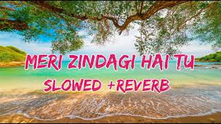 Meri Zindagi Hai Tu (Slowed +Reverb) | Rochak ft Jubin, Neeti | Lofi Song | New Song 2022