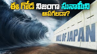 ఈ గోడ సునామీ నుంచి జపాన్ ను ఎలా కాపాడుతుంది? | How this wall will protect Japan from Tsunami?