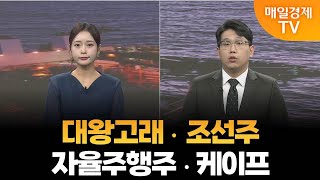 [조범수의 주도주 투자] 대왕고래·조선주·자율주행주·케이프 / 매일경제TV