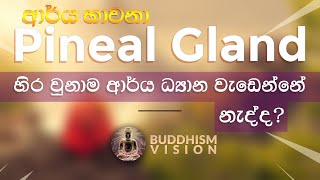 🙏 Pineal Gland එක හිර වුනාම ආර්ය ධ්‍යාන වැඩෙන්නේ නැද්ද?