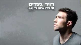 דויד גינדיס - זה מה שיש לי