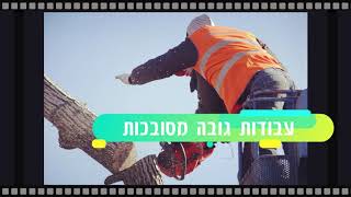 גיזום עצים בהוד השרון | חייגו 077-2231306