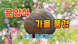 문양석 감상 만추의 계절 수석에 아름다운 가을 풍경을 담았어요