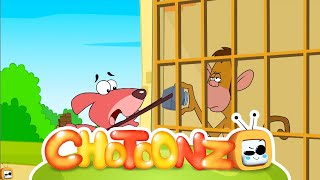 Photographer Don & Trendy Super Aligator Hilarious Cartoon For Kids Compilation Rat A Tat ChotoonzTV