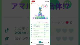 ジガルデとアマルスが合体した⁉︎#ポケモンGO#合体