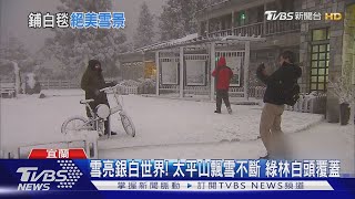 雪亮銀白世界! 太平山飄雪不斷 綠林白頭覆蓋｜TVBS新聞