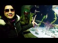 4K VIDEO SEA LIFE LONDON AQUARIUM | Full Video | United Kingdom #aquarium #marine | MUST WATCH