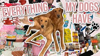 Full Tour Of EVERYTHING My Dogs Have | HUGE Updated Golden Retriever Haul