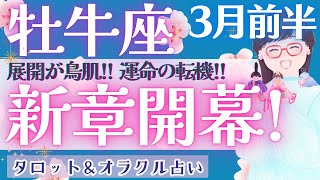 【牡牛座】最幸の〇〇に辿り着く！！牡牛座さん、ガラッと変わります🐦‍🔥【仕事運/対人運/家庭運/恋愛運/全体運】3月運勢  タロット占い