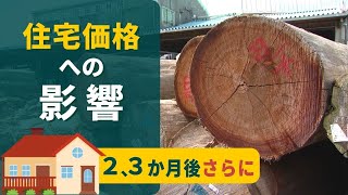 円安が「ウッドショック」に追い打ち　輸入木材“さらなる価格上昇”も