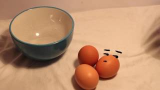 THE EGG - stop motion (SCHOOL PROJECT)