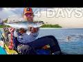 4 Day Catch & Cook Hammock Camping in the Florida Everglades Ten Thousand Islands