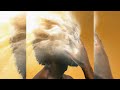 YA LEVIS - Maweja (Audio)