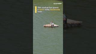 A Nebraska student has grown her own canoe using mushroom roots #mycelium #mushroom