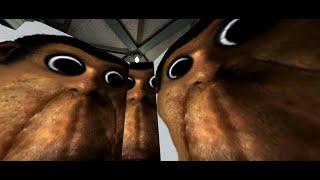 obunga is everywhere (really!)