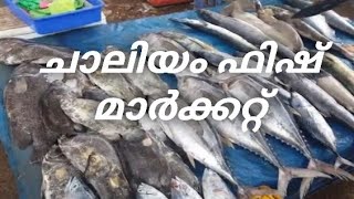 ചാലിയം മീൻ മാർക്കറ്റ് / Fish Market chaliyam  / ABDU MADAMPAT