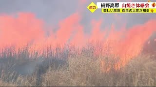 箱根仙石原の7倍　細野高原の山焼きを間近で感じる初の体感会「大室山とは違うおもしろさがある」静岡