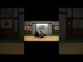 合気道 倉敷合気道会 aikido 2023021702 shorts