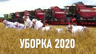 Уборка 2020! Комбайнеры. Дочь-медик помогает отцу-комбайнеру убирать урожай, и ей это нравится