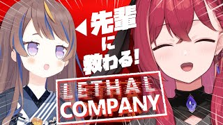 【🌌Lethal Company】バイトの先輩（アーニャちゃん）に教えてもらいながらゴミ拾いバイト！！！【昏昏アリア/ネオポルテ】