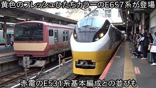 【黄色のフレッシュひたちカラーのE657系が登場して4月29日に運行開始】4月15日に登場した赤電E531系基本編成との並びも