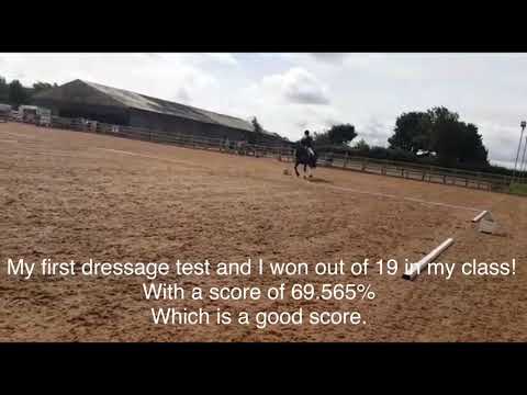 Intro B Dressage Test - YouTube