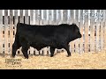 lonesome dove bull lot drt 251m sells friday march 7 2025