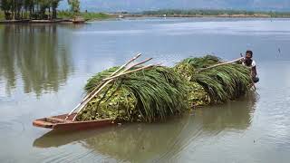 The Wular Voyage | Reach Dredging Limited work in Wular Lake |