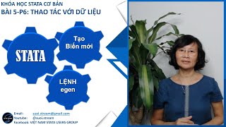 @suoi.stream | STATA cơ bản: B5-P6- Thao tác với dữ liệu: Tạo biến mới với lệnh egen