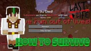 How SmallishBeans Could Of Survived His Death | Last Life SMP