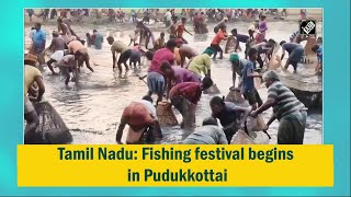 Tamil Nadu: Fishing festival begins in Pudukkottai