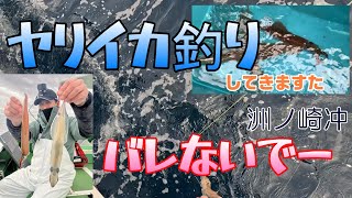 2025年1月　ヤリイカ釣　洲ノ崎沖　葉山秀吉丸7から