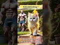 😺⚡️ cat electric shock story 🐈 cat kitten shorts