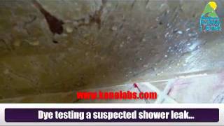 Kona Labs Pool Spa and Shower Pan leaks - Dye testing method