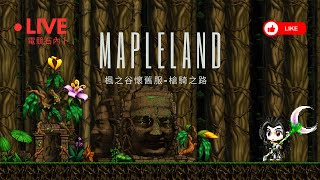 電競石內卜【楓之谷懷舊服-槍騎之路】【Mapleland】 35等 火肥之旅